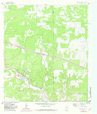 Mountain Home 1964 topographic map thumbnail