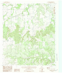 Mountain Pass 1984 topographic map thumbnail