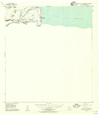 Mouth Of Rio Grande 1955 topographic map thumbnail