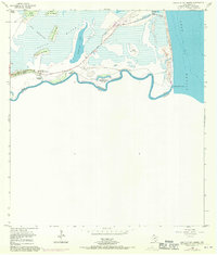 Mouth Of Rio Grande 1955 topographic map thumbnail