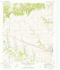 Muenster West 1961 topographic map thumbnail