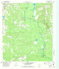 Neches 1982 topographic map thumbnail