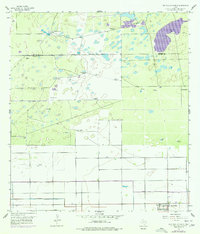 San Perlita North 1956 topographic map thumbnail
