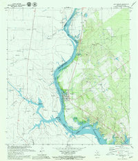 San Ygnacio 1979 topographic map thumbnail