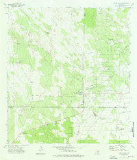 Santa Elena 1972 topographic map thumbnail