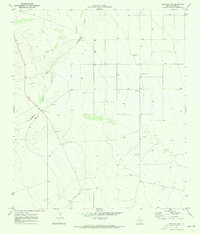 Saragosa NW 1970 topographic map thumbnail