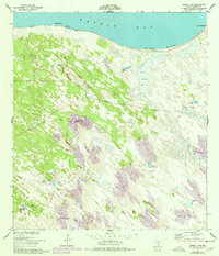 Sarita 4 NE 1951 topographic map thumbnail