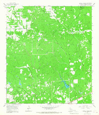 Sawmill Branch 1965 topographic map thumbnail