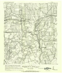 Schulenburg 1919 topographic map thumbnail