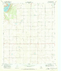 New Lynn 1970 topographic map thumbnail