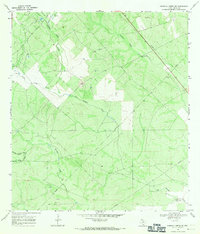 Parrilla Creek NE 1968 topographic map thumbnail