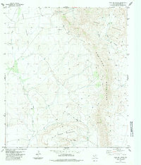 Paso Del Norte 1983 topographic map thumbnail