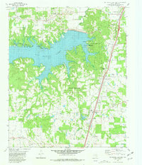 Pat Mayse Lake East 1980 topographic map thumbnail