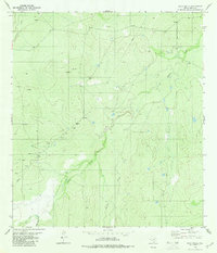 Pato Creek 1980 topographic map thumbnail