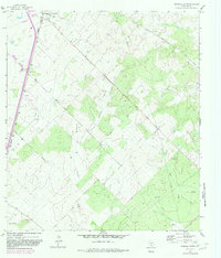 Pearsall South 1964 topographic map thumbnail