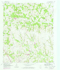 Pecan Creek 1961 topographic map thumbnail