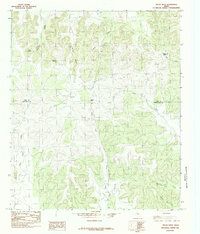 Pecan Mott 1984 topographic map thumbnail