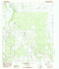 Pecan Station 1984 topographic map thumbnail