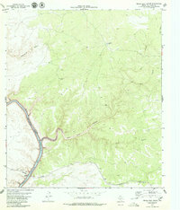 Pecos High Bridge 1979 topographic map thumbnail
