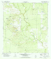 Peloncillo Peak 1974 topographic map preview