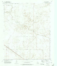 Perico 1973 topographic map preview