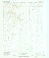 Perryton NW 1973 topographic map thumbnail