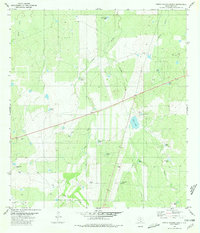 Piedra Parada Ranch 1980 topographic map thumbnail