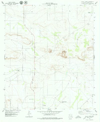 Pierce Ranch 1979 topographic map thumbnail