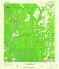 Pine Forest 1960 topographic map thumbnail