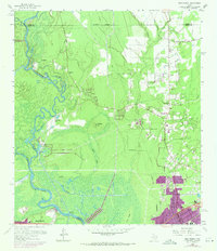 Pine Forest 1960 topographic map preview