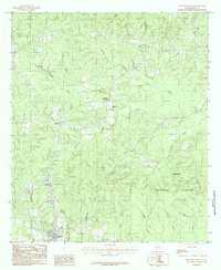 Pineland North 1984 topographic map thumbnail