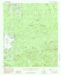 Pineland South 1984 topographic map thumbnail