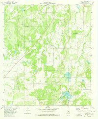 Placid 1979 topographic map preview
