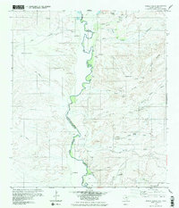 Pueblo Nuevo 1979 topographic map thumbnail