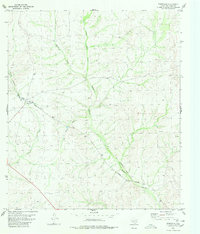 Pumpville 1980 topographic map preview