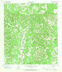 Rafter Hollow 1964 topographic map thumbnail