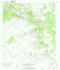 Raisin 1962 topographic map preview