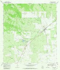 Realitos 1967 topographic map preview