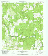 Regency 1980 topographic map thumbnail