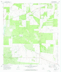 Rincon 1972 topographic map thumbnail