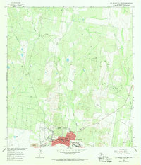 Rio Grande City North 1965 topographic map thumbnail
