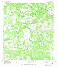 Paint Rock Spring 1971 topographic map thumbnail