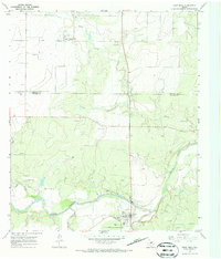 Paint Rock 1967 topographic map preview