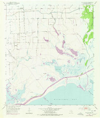 Palacios NE 1952 topographic map thumbnail