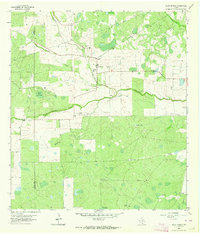 Palito Blanco 1963 topographic map preview
