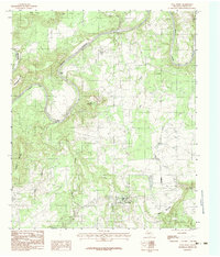 Palo Pinto 1984 topographic map thumbnail