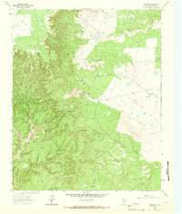Paloduro 1963 topographic map thumbnail