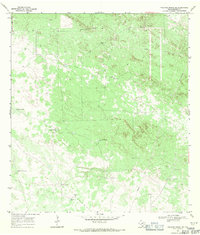 Palomas Ranch SE 1968 topographic map thumbnail