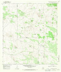 Palomas Ranch SW 1968 topographic map thumbnail