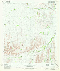 Panther Tank 1980 topographic map thumbnail